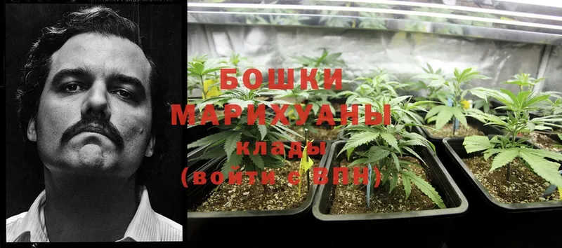 закладки  Балашов  Марихуана OG Kush 